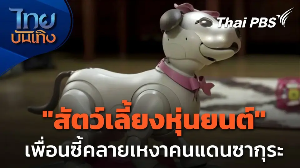 แลโลกเห็นเรา : "สัตว์เลี้ยงหุ่นยนต์" เพื่อนซี้คลายเหงาคนแดนซากุระ