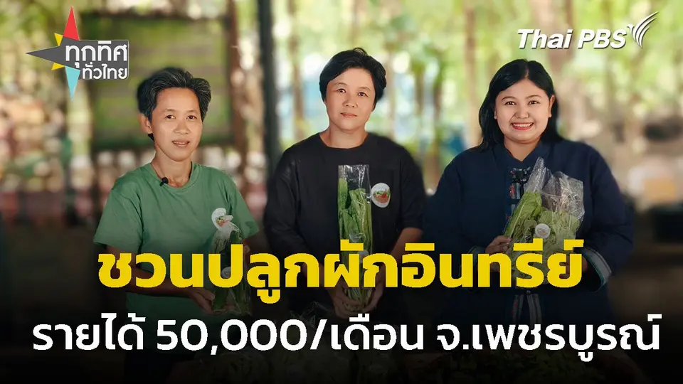 ปลูกผักอินทรีย์ รายได้ 50,000 ต่อเดือน จ.เพชรบูรณ์