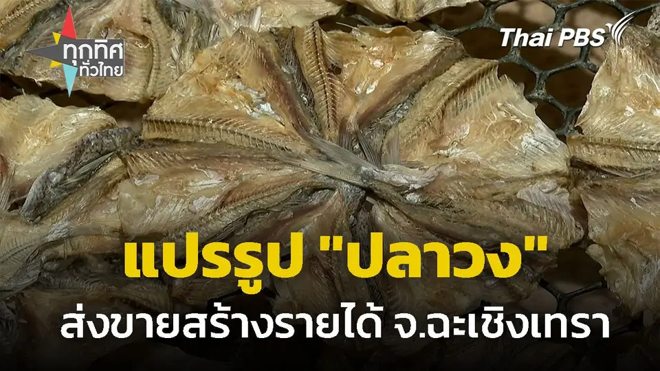 แปรรูป "ปลาวง" ส่งขายสร้างรายได้ จ.ฉะเชิงเทรา