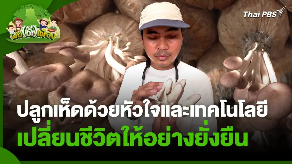พอดีพอเพียง : ปลูกเห็ดด้วยหัวใจและเทคโนโลยี เปลี่ยนชีวิตให้อย่างยั่งยืน