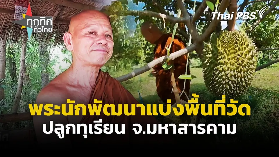 พระนักพัฒนาแบ่งพื้นที่วัดปลูกทุเรียน จ.มหาสารคาม