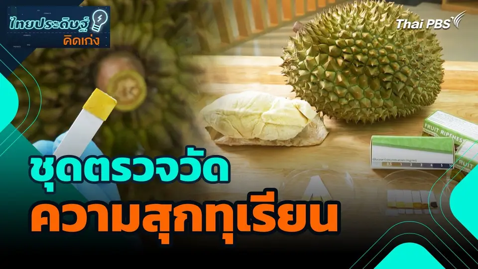ไทยประดิษฐ์คิดเก่ง : ชุดตรวจวัดความสุกทุเรียน