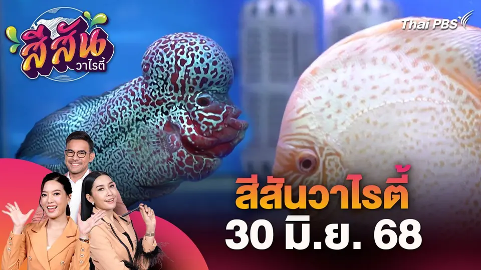 สีสันวาไรตี้ (30 มิ.ย. 68)