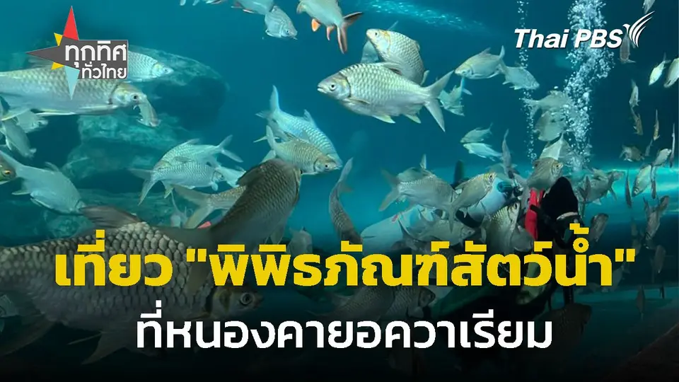 ชวนเที่ยว "พิพิธภัณฑ์สัตว์น้ำ" จ.หนองคาย | ทุกทิศทั่วไทย | 30 มิ.ย. 68