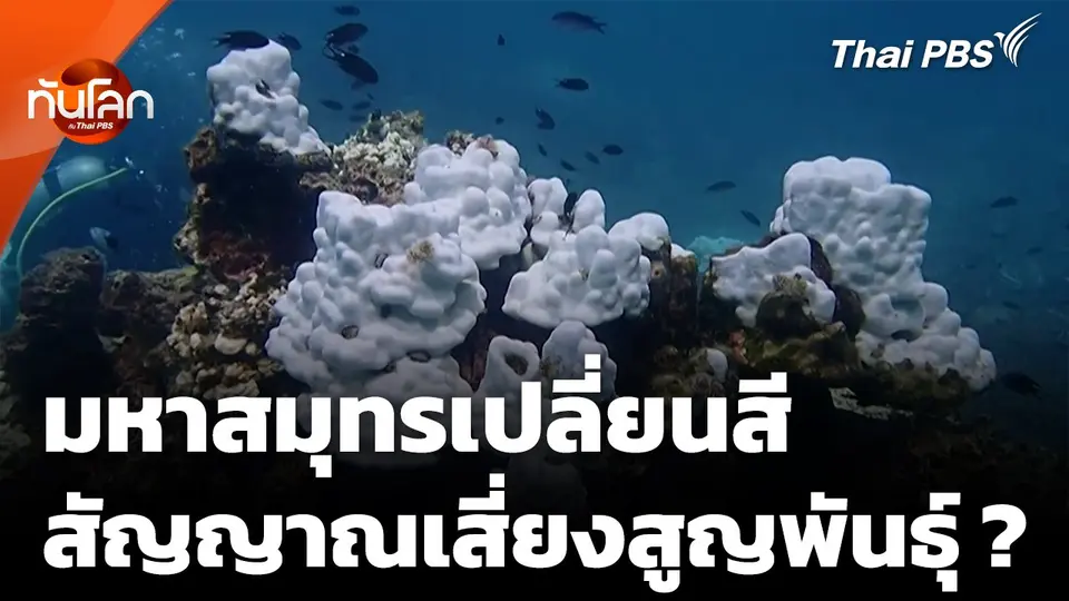 มหาสมุทรเปลี่ยนสี สัญญาณเสี่ยงสูญพันธุ์ครั้งใหญ่ ?