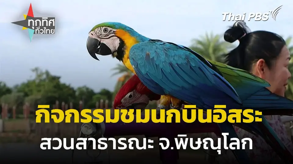 เปิดกิจกรรมให้ชมนกบินอิสระ จ.พิษณุโลก