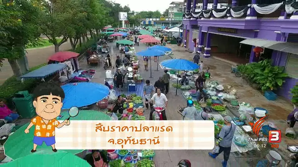 สายสืบเจาะตลาด : สำรวจราคาปลาแรด จากกระชัง จ.อุทัยธานี