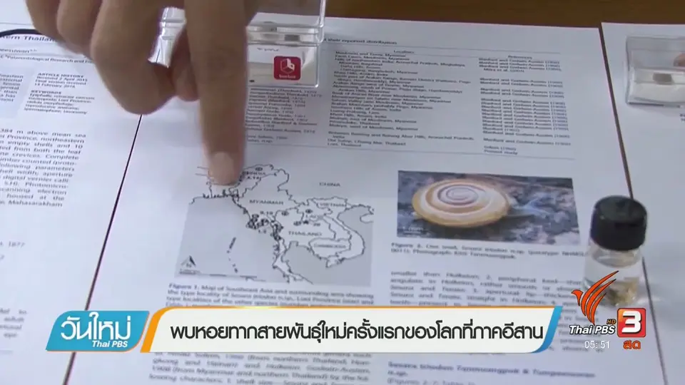 พบหอยทากสายพันธุ์ใหม่ครั้งแรกของโลกที่ภาคอีสาน