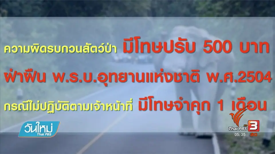เอาผิดรถยนต์ยั่วโมโหช้างเขาใหญ่