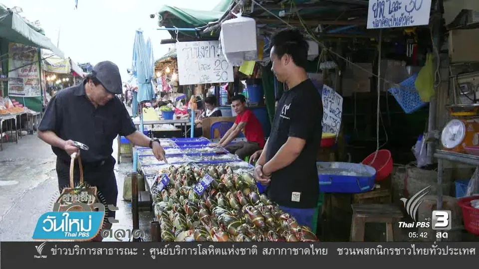สายสืบเจาะตลาด : สำรวจราคาอาหารทะเล จ.ชลบุรี