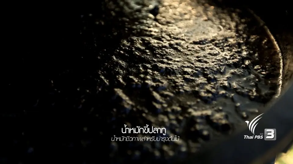 ชุมชนแห่งความยั่งยืน