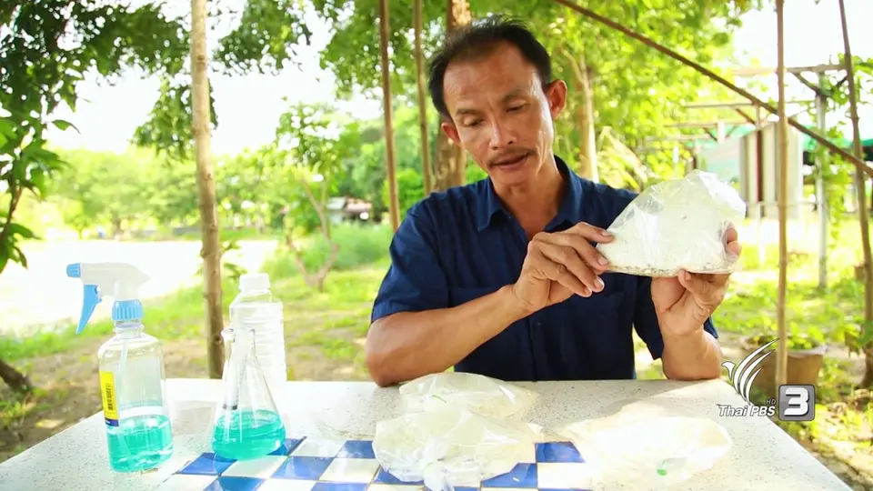 ข้าวสารเสก
