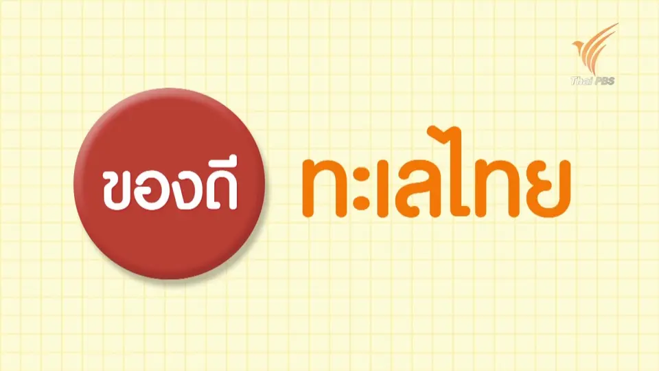 ของดีทะเลไทย