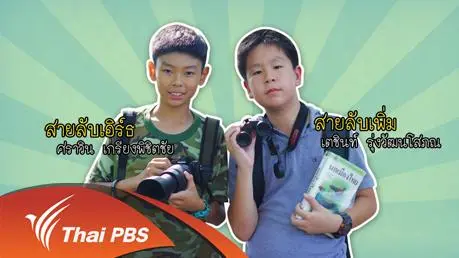 นกขมิ้นท้ายทอยดำ