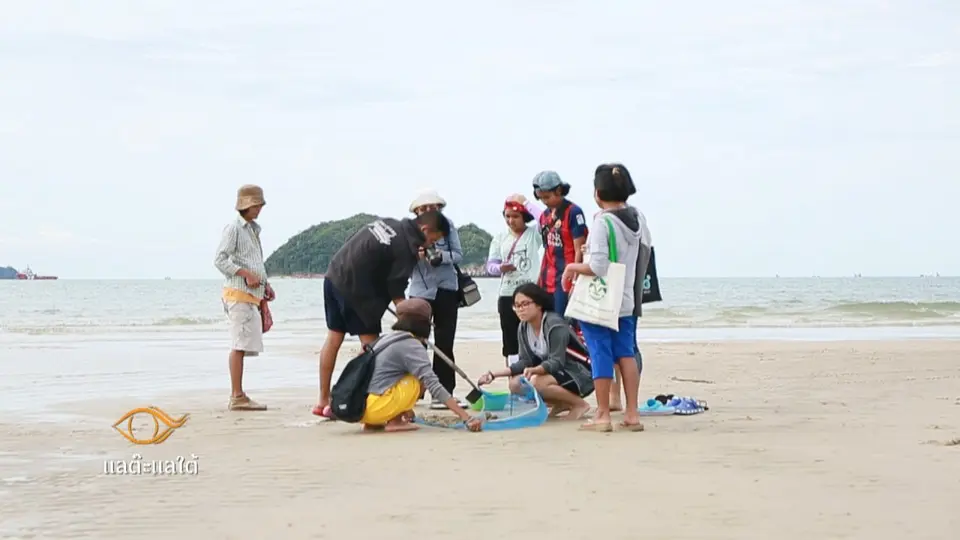 ห้องเรียนธรรมชาติที่ "หาดสมิหลา"