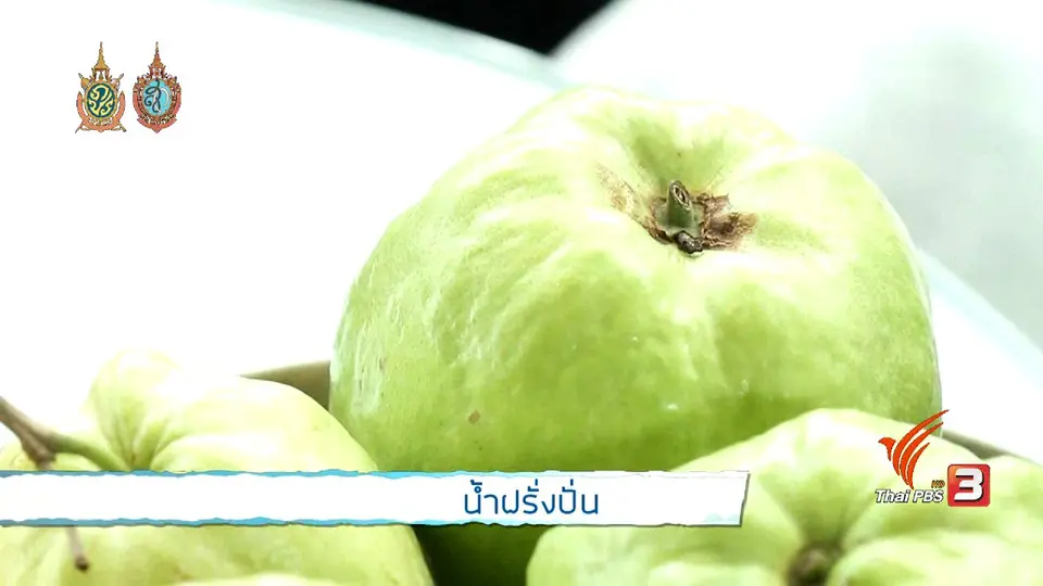 คนสู้โรค : น้ำฝรั่งปั่น