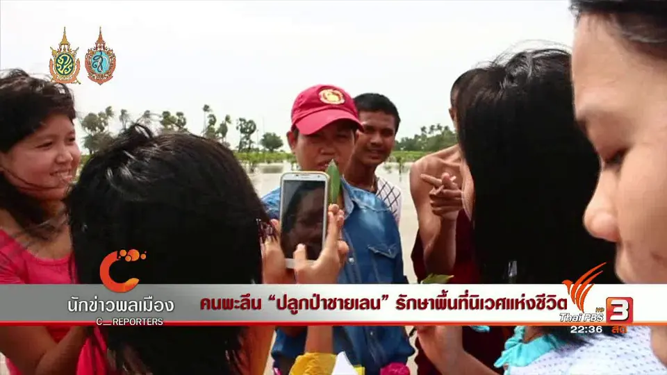 นักข่าวพลเมือง : คนพะลึน "ปลูกป่าชายเลน" รักษาพื้นที่นิเวศแห่งชีวิต