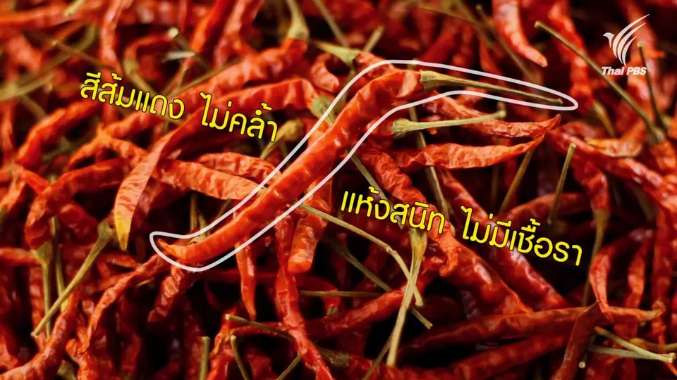 เคล็ดลับการเลือกพริก