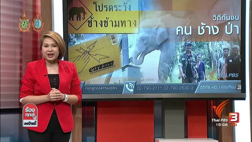 วิถีกันชน "คน ช้าง ป่า"
