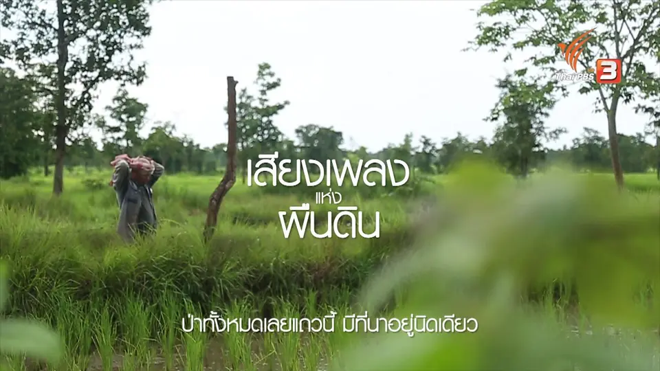 ครอบครัว "วงศ์แสนไชย ตอน 1"