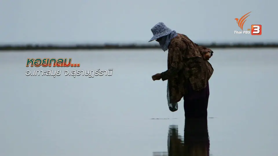 ตะลุยทั่วไทย : หอยกลม