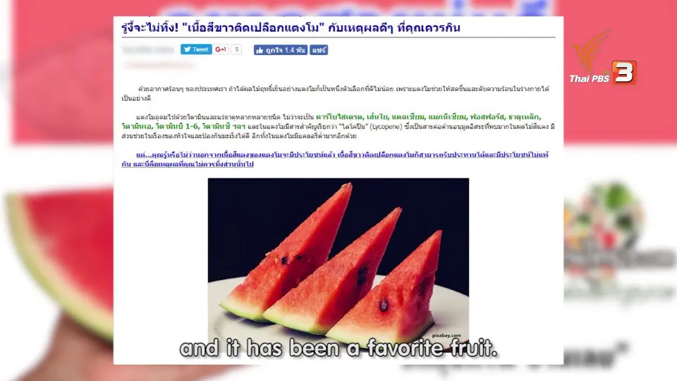 soเชี่ยว FAKE or FACT :  เปลือกสีขาวของแตงโมทานได้จริงหรือไม่