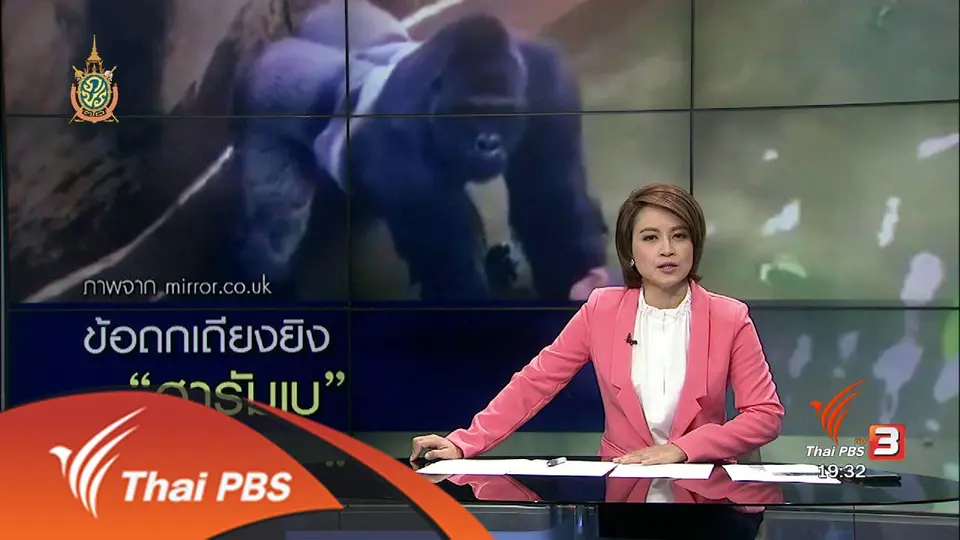วิเคราะห์สถานการณ์ต่างประเทศ : ข้อถกเถียงยิง "ฮารัมเบ"