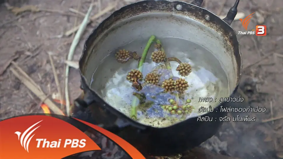 ตะลุยทั่วไทย : 16 มิ.ย. 59