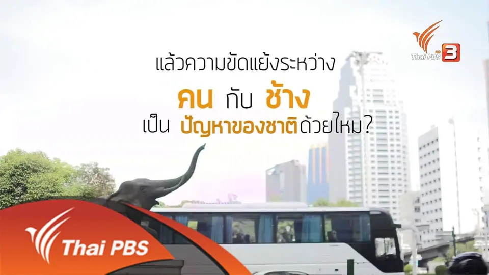 คน-ป่า-ช้าง