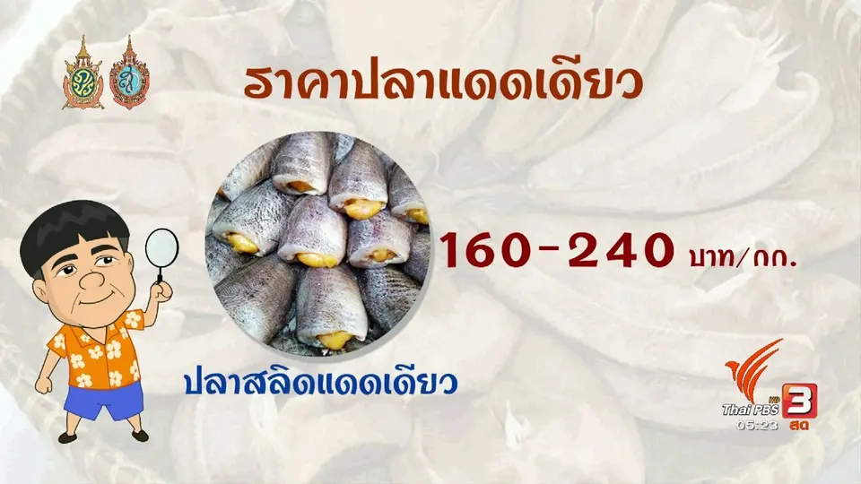 สายสืบเจาะตลาด : สำรวจราคาปลาแดดเดียว