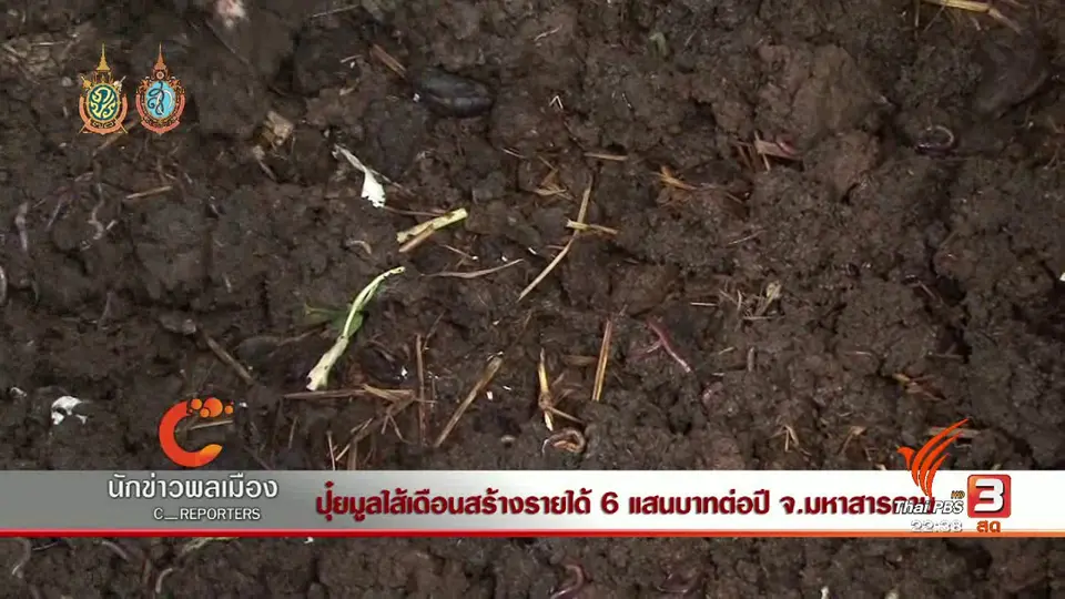 นักข่าวพลเมือง : ปุ๋ยมูลไส้เดือนสร้างรายได้ 6 แสนบาทต่อปี จ.มหาสารคาม