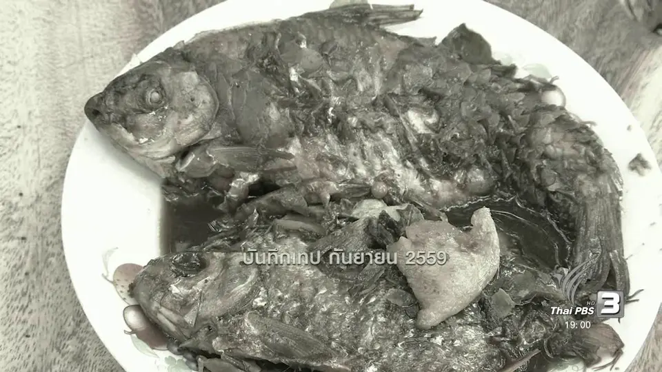 ตะลุยทั่วไทย : แหกระตุก