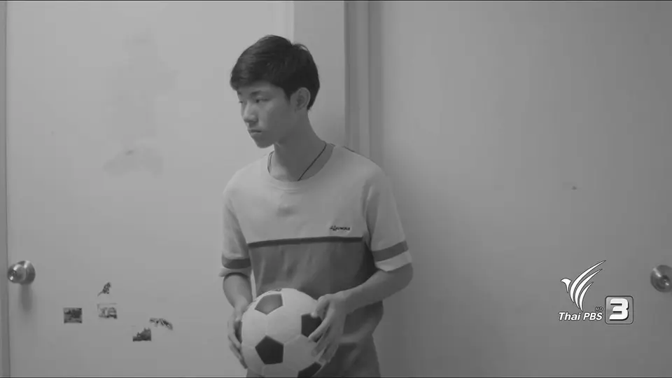 ดาวกระดาษ