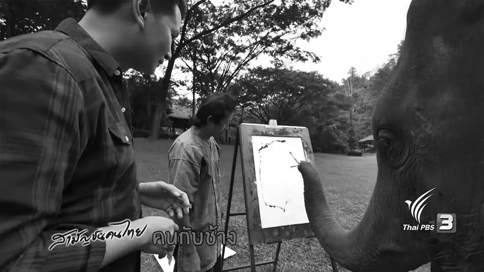 ช้างโชว์วาดรูปช้าง