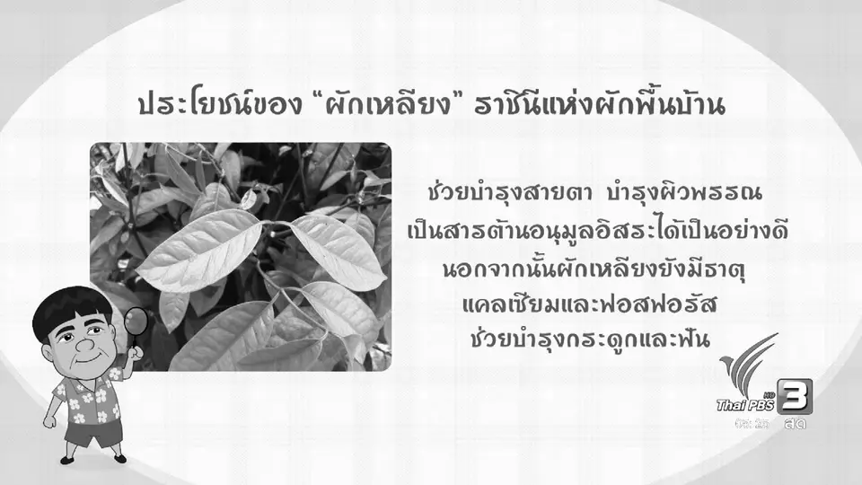 สายสืบเจาะตลาด : สำรวจอาหารพื้นเมืองของภาคใต้ จ.ชุมพร