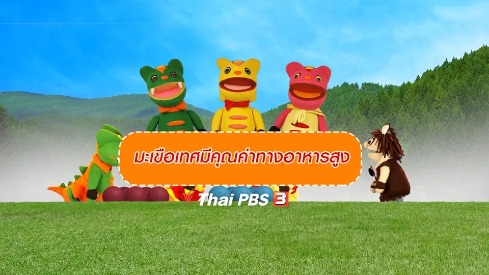 เกร็ดน่ารู้กับตาต้าตีตี้โตโต้ : มะเขือเทศมีคุณค่าทางอาหารสูง