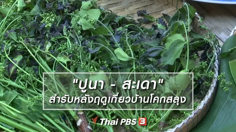 อิ่มมนต์รส : "ปูนา - สะเดา" สำรับหลังฤดูเกี่ยวบ้านโคกสลุง