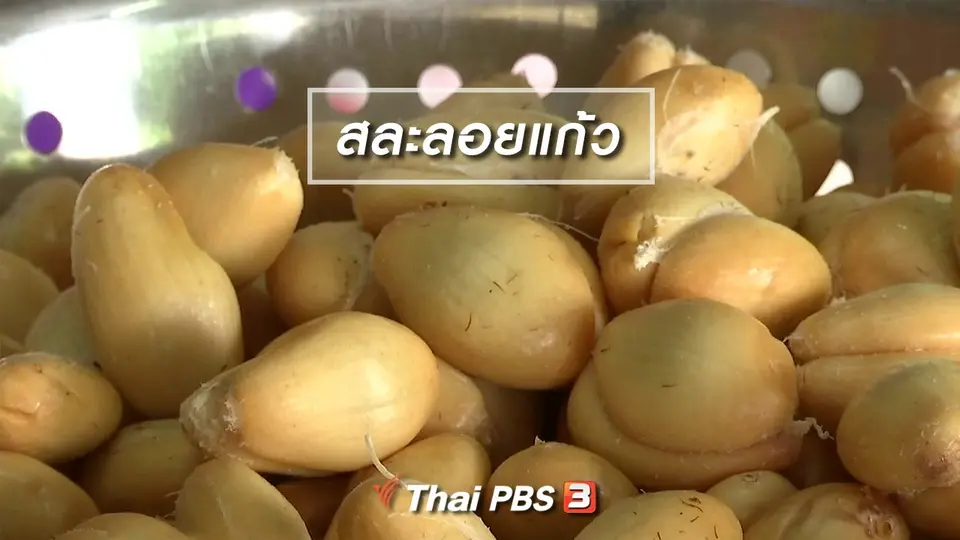 ตะลุยทั่วไทย : สละลอยแก้ว