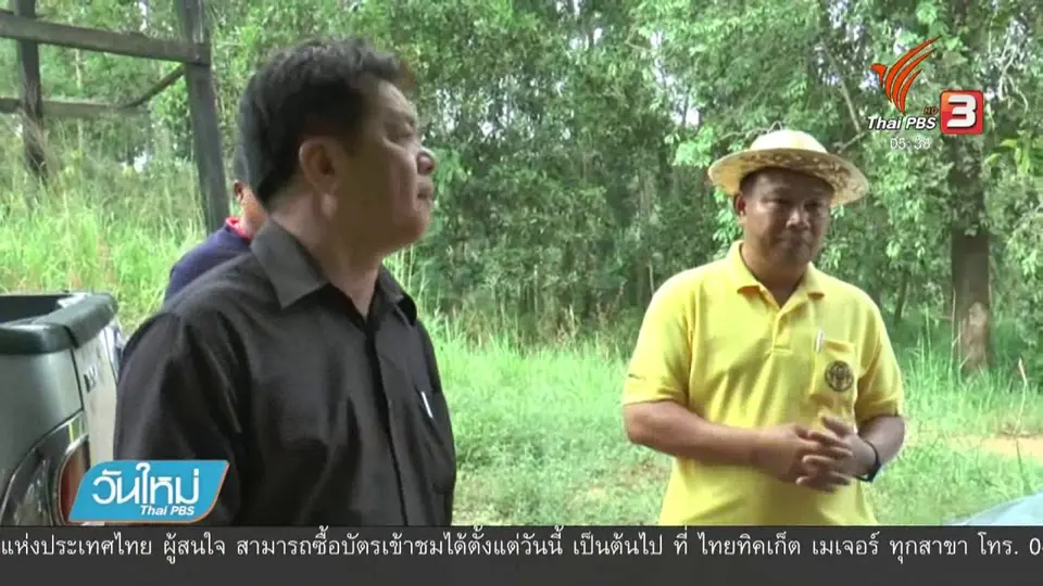 ยังรักษาอาการช้างป่าบาดเจ็บถูกรถตู้ชนไม่ได้