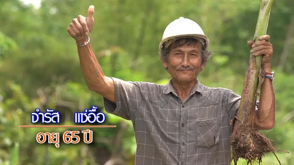 ลุงดำ...มนุษย์กล้วย