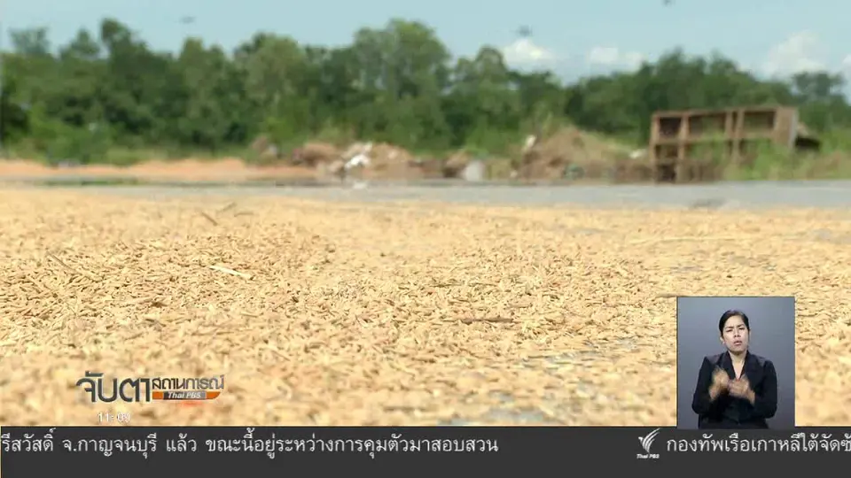 ผลกระทบชาวนาจากนโยบายราคาข้าว