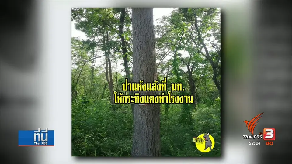 : ค้าน "พล.อ.อนุพงษ์" อนุมัติพื้นที่ป่าให้เอกชน