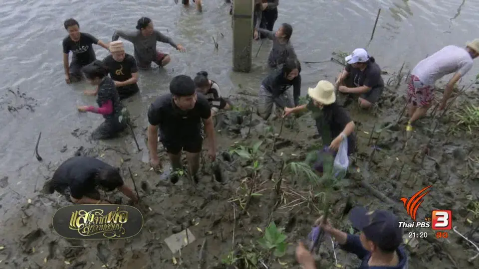 กิจกรรมบางปะกง