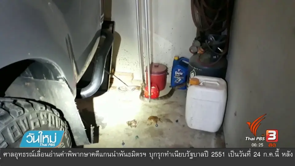 จงอางเขมือบคางคก