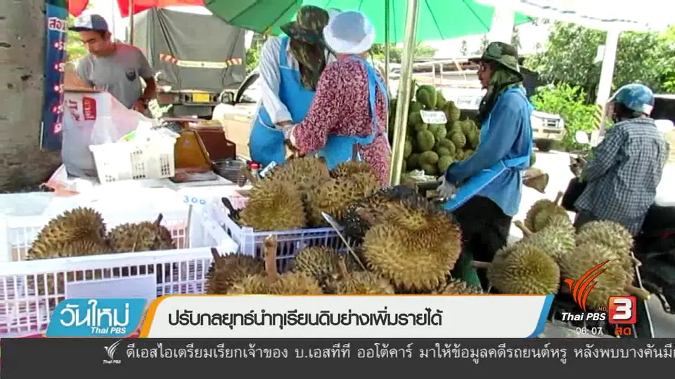 ปรับกลยุทธ์นำทุเรียนดิบย่างเพิ่มรายได้