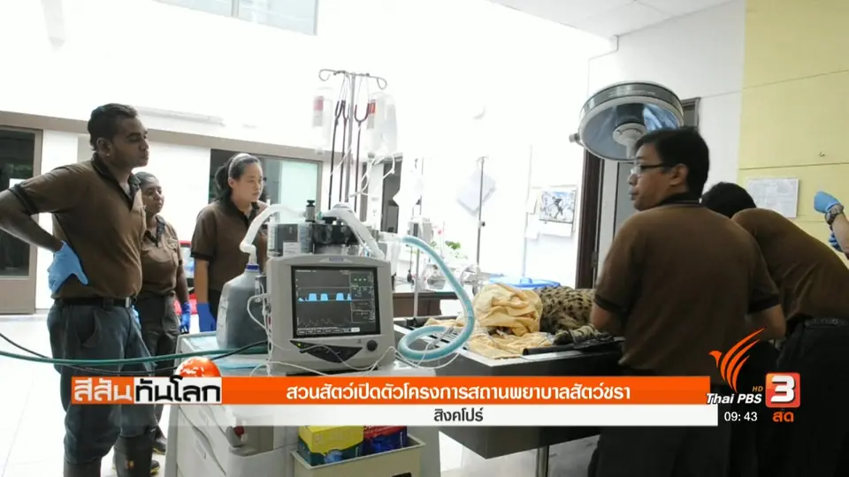 สวนสัตว์เปิดตัวโครงการสถานพยาบาลสัตว์ชรา