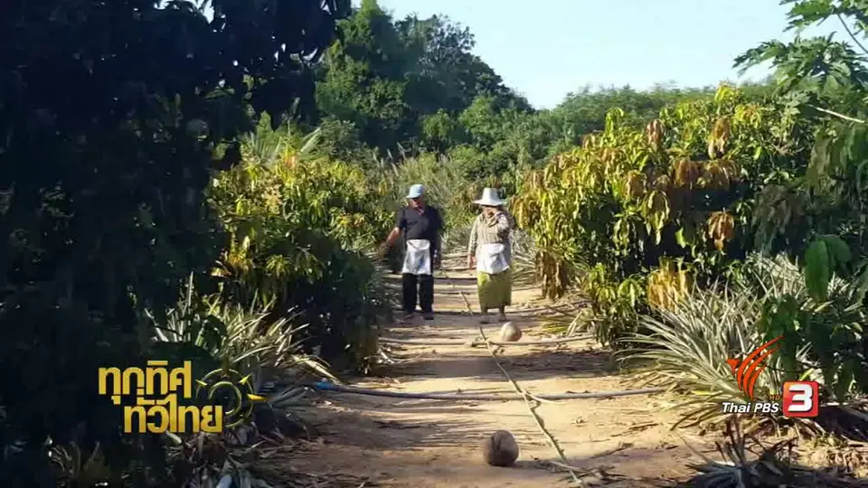 ชุมชนทั่วไทย : เกษตรกร อ.กุยบุรี นำศาสตร์พระราชา มาปรับใช้