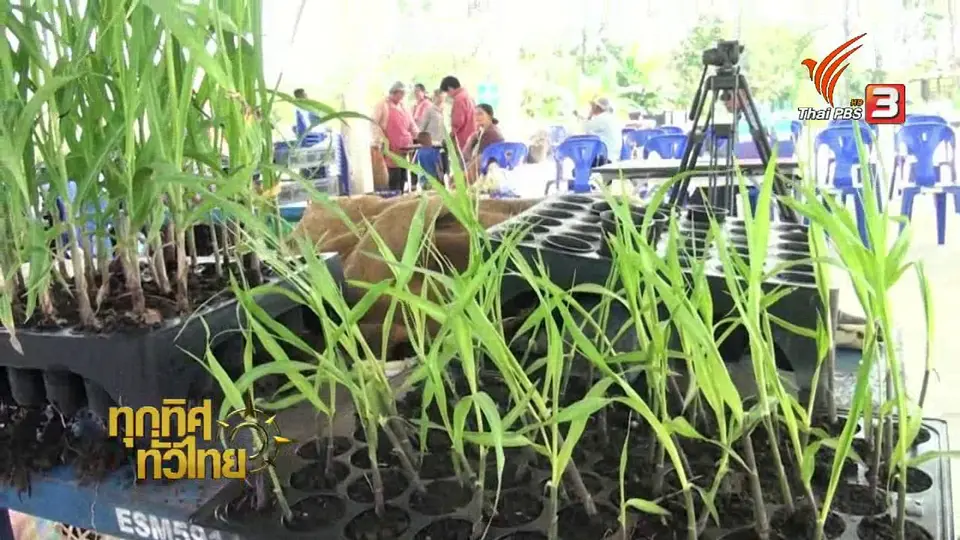 เกษตรสระแก้วผลิตสารกำจัดโรคพืชใช้เอง