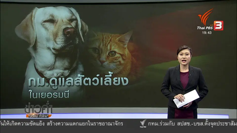 วิเคราะห์สถานการณ์ต่างประเทศ: กฎหมายสัตว์เลี้ยงเยอรมนี