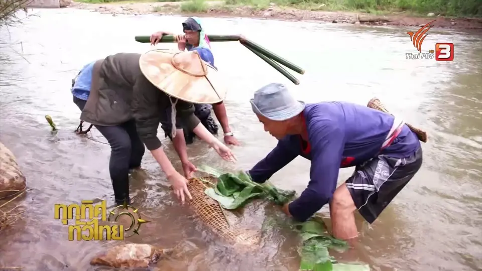 วิถีทั่วไทย : หาปลาโดยใช้ "ไซ"